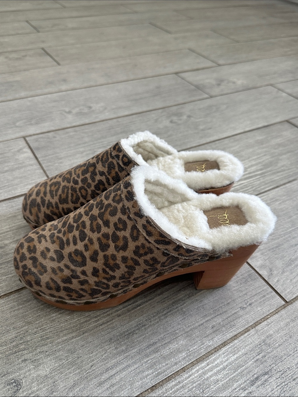 Beek Woodpecker Shearling Leopard Print Suede Clogs New!